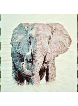 Pañuelo de jacquard elefante