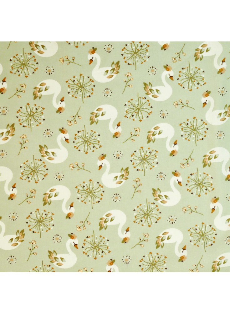 Coton Ecyno Tilleul / Douceur