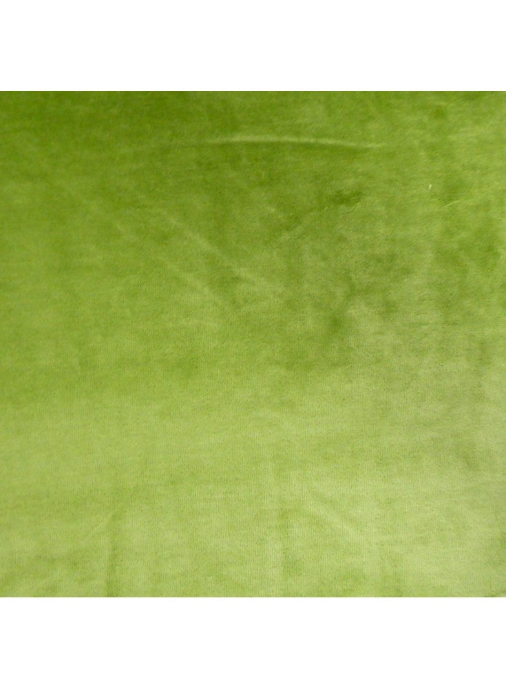 Nicki Velour Uni Vert