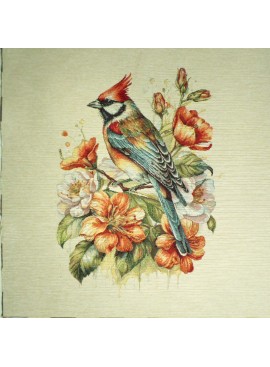 Abubilla Pájaro Cuadrada...