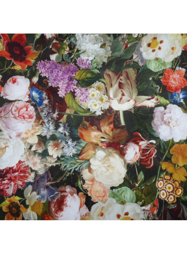 Velours ras Fleuri Lea