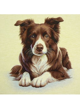 Border collie jacquard...