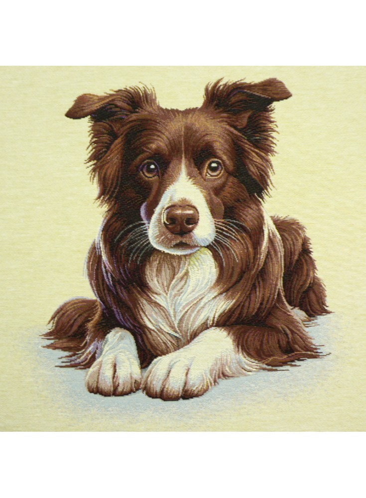 Carré jacquard border collie Marron